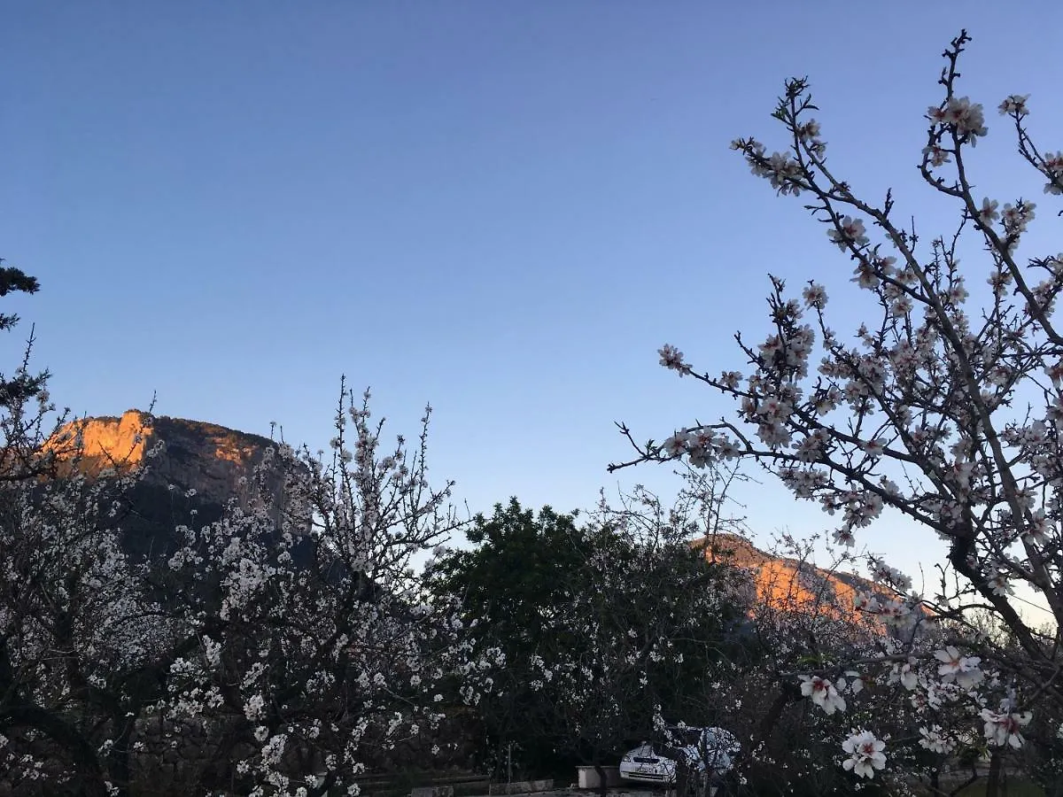 Boutique Villa Alaró 0*,  İspanya