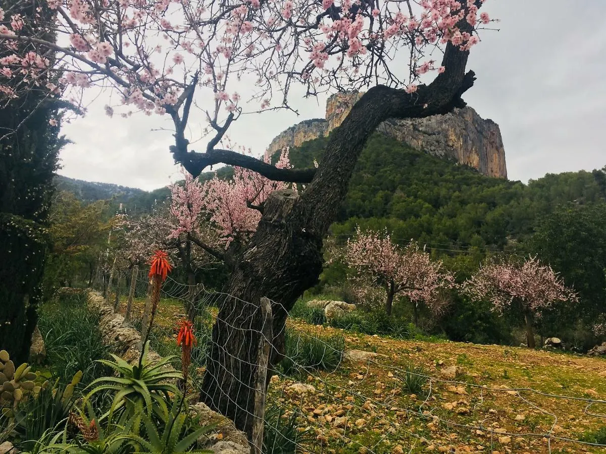 Boutique Villa Alaró